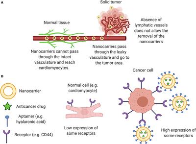 Nanomedicine in Oncocardiology: Contribution and Perspectives of Preclinical Studies